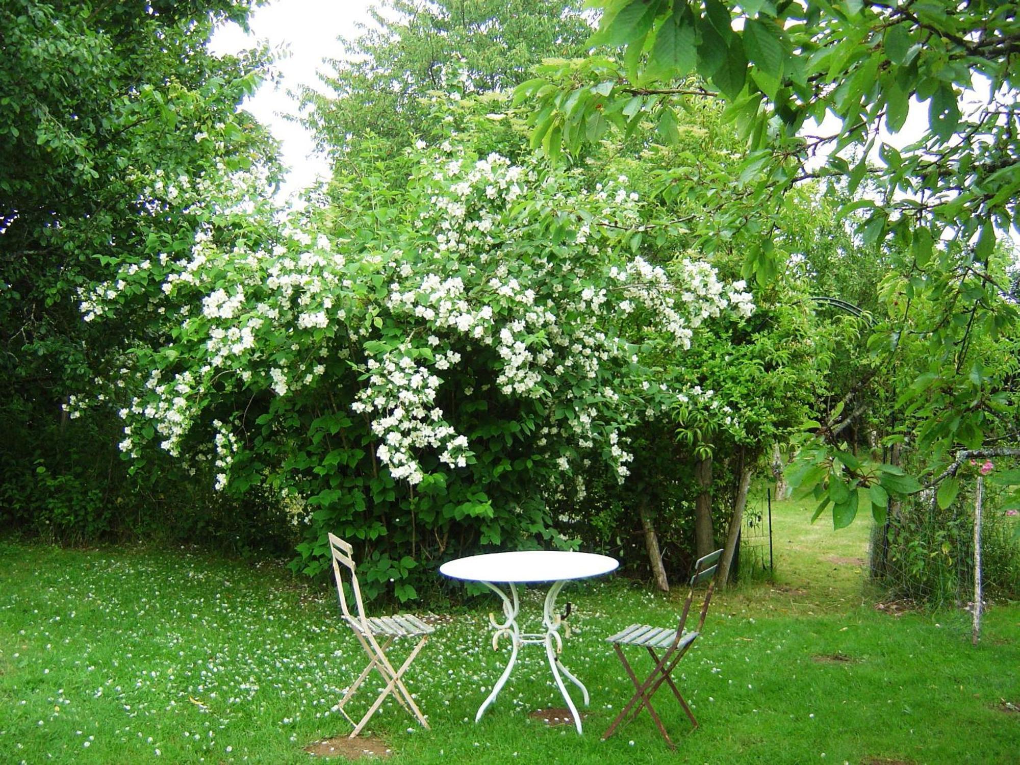 Bed & Breakfast Les Trois Chenes Videix